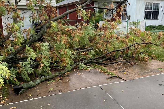 Storm damage cleanup